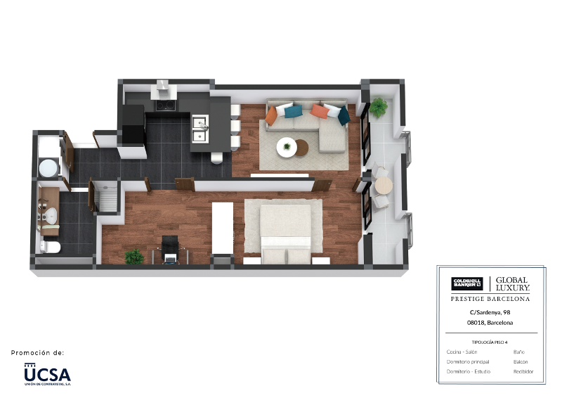 plano T4